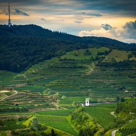 Monet In Oberrotweil *