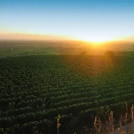Monet In Oberrotweil
