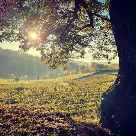 Lejlighed Monet In Oberrotweil