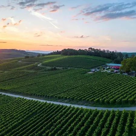 Monet In Oberrotweil Lejlighed *