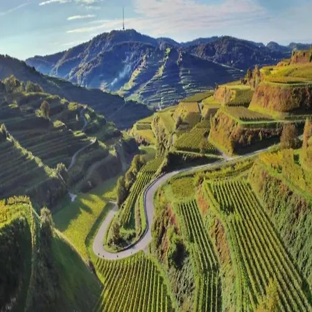 Monet In Oberrotweil