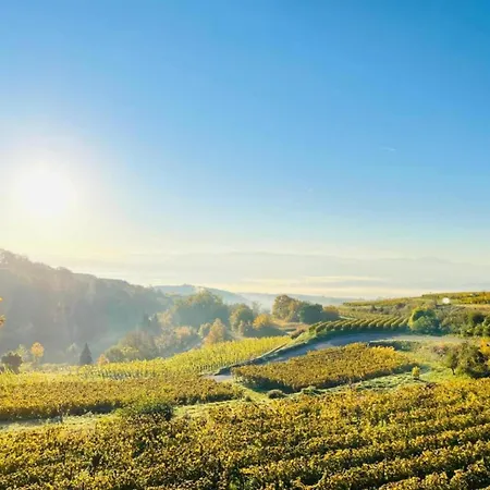 Monet In Oberrotweil Lejlighed