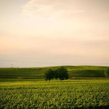 Lejlighed Monet In Oberrotweil