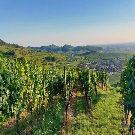 Monet In Oberrotweil * Vogtsburg