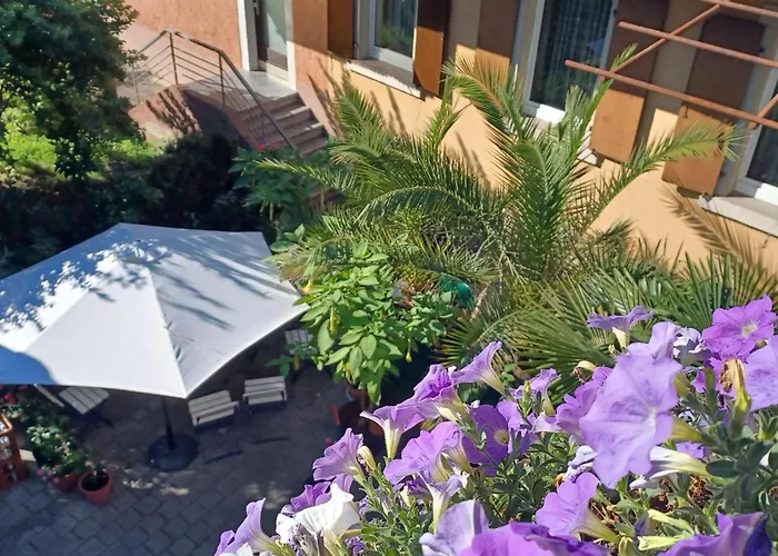 Monet In Oberrotweil Vogtsburg im Kaiserstuhl