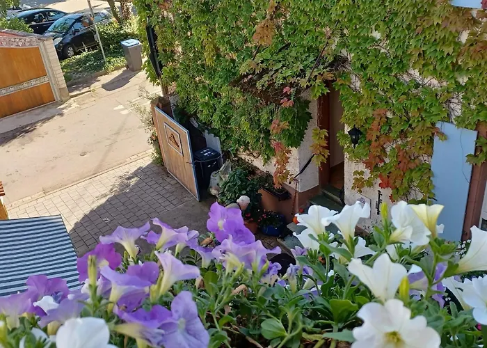 Appartement Monet In Oberrotweil *