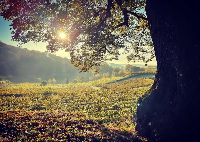 Appartement Monet In Oberrotweil