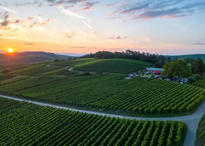 Monet In Oberrotweil Appartement *