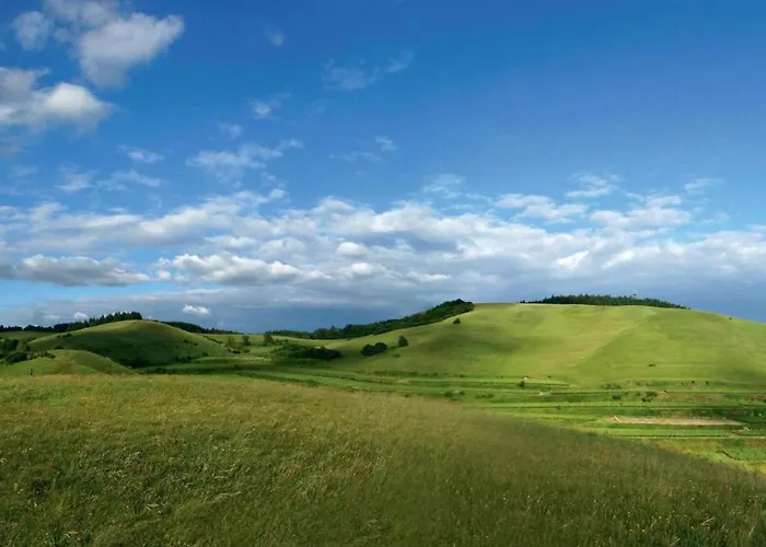 Appartement Monet In Oberrotweil