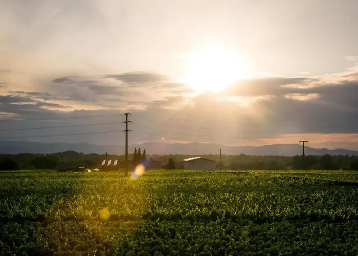 Monet In Oberrotweil Appartement Vogtsburg im Kaiserstuhl