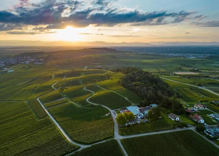 Monet In Oberrotweil *