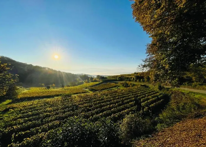 Monet In Oberrotweil * Vogtsburg im Kaiserstuhl