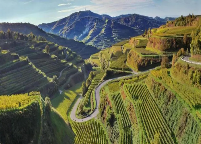 Monet In Oberrotweil