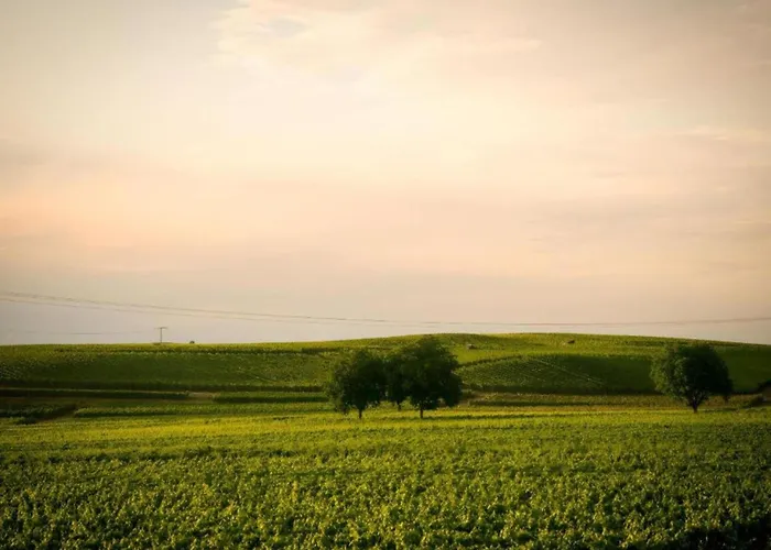 Appartement Monet In Oberrotweil