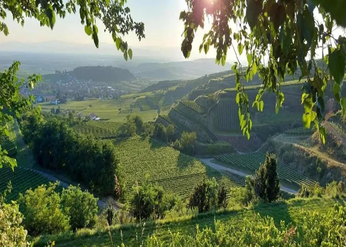 Monet In Oberrotweil Appartement Vogtsburg im Kaiserstuhl